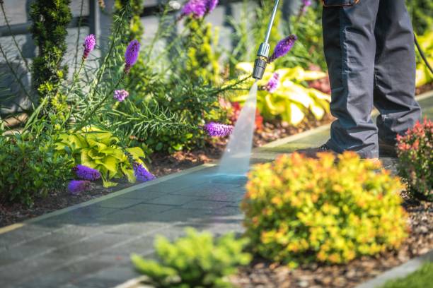 Best Gutter Cleaning  in West Sand Lake, NY